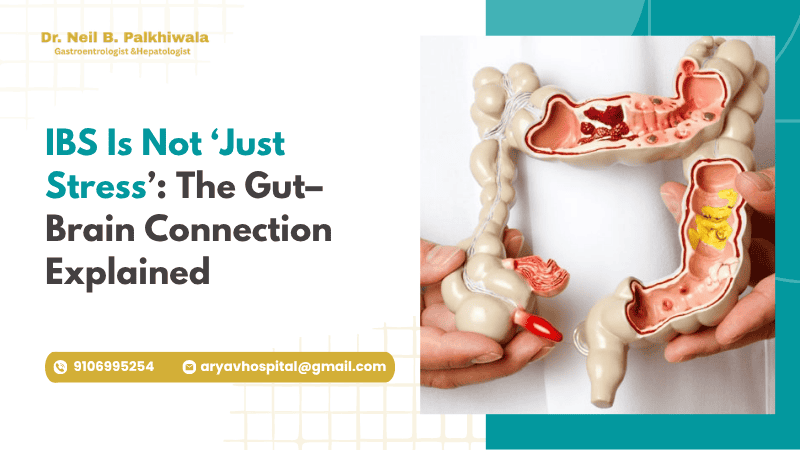 Ibs Gut Brain Connection Explained